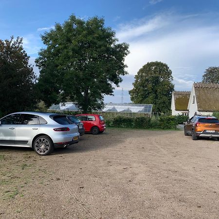 Mariegaardens Gaestehuse ヒレレズ エクステリア 写真