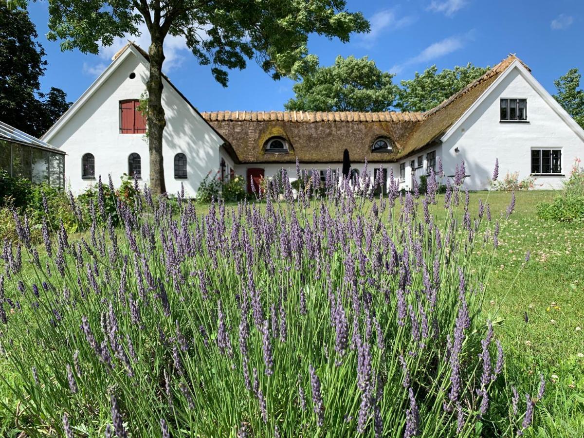 Mariegaardens Gaestehuse ヒレレズ エクステリア 写真