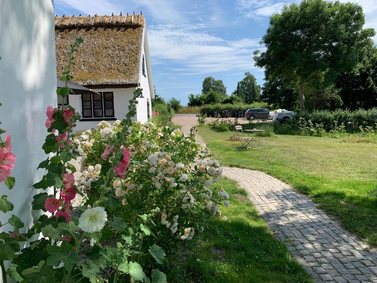 Mariegaardens Gaestehuse ヒレレズ エクステリア 写真