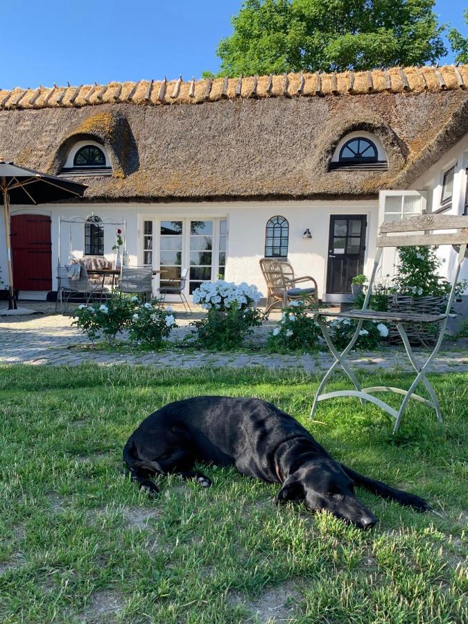Mariegaardens Gaestehuse ヒレレズ エクステリア 写真