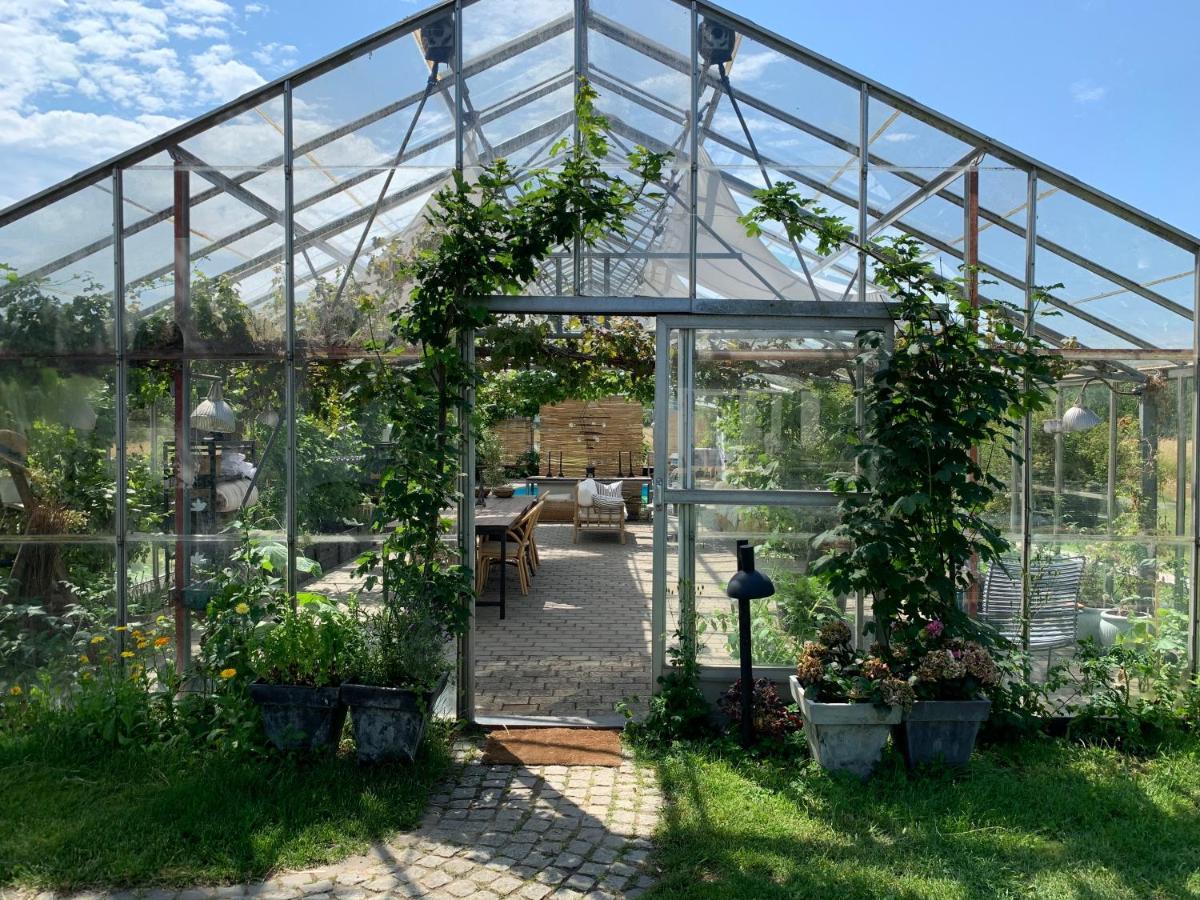 Mariegaardens Gaestehuse ヒレレズ エクステリア 写真